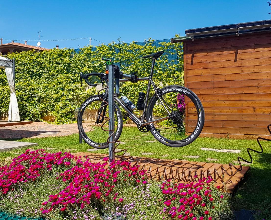 La Mimosa - Bike Friendly Home 로시냐노 솔바이 외부 사진